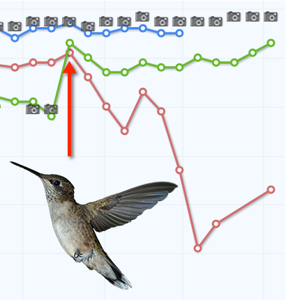 Google Hummingbird SEO Case Study