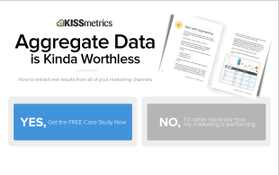 insulting conversion rate optimization from kissmetrics